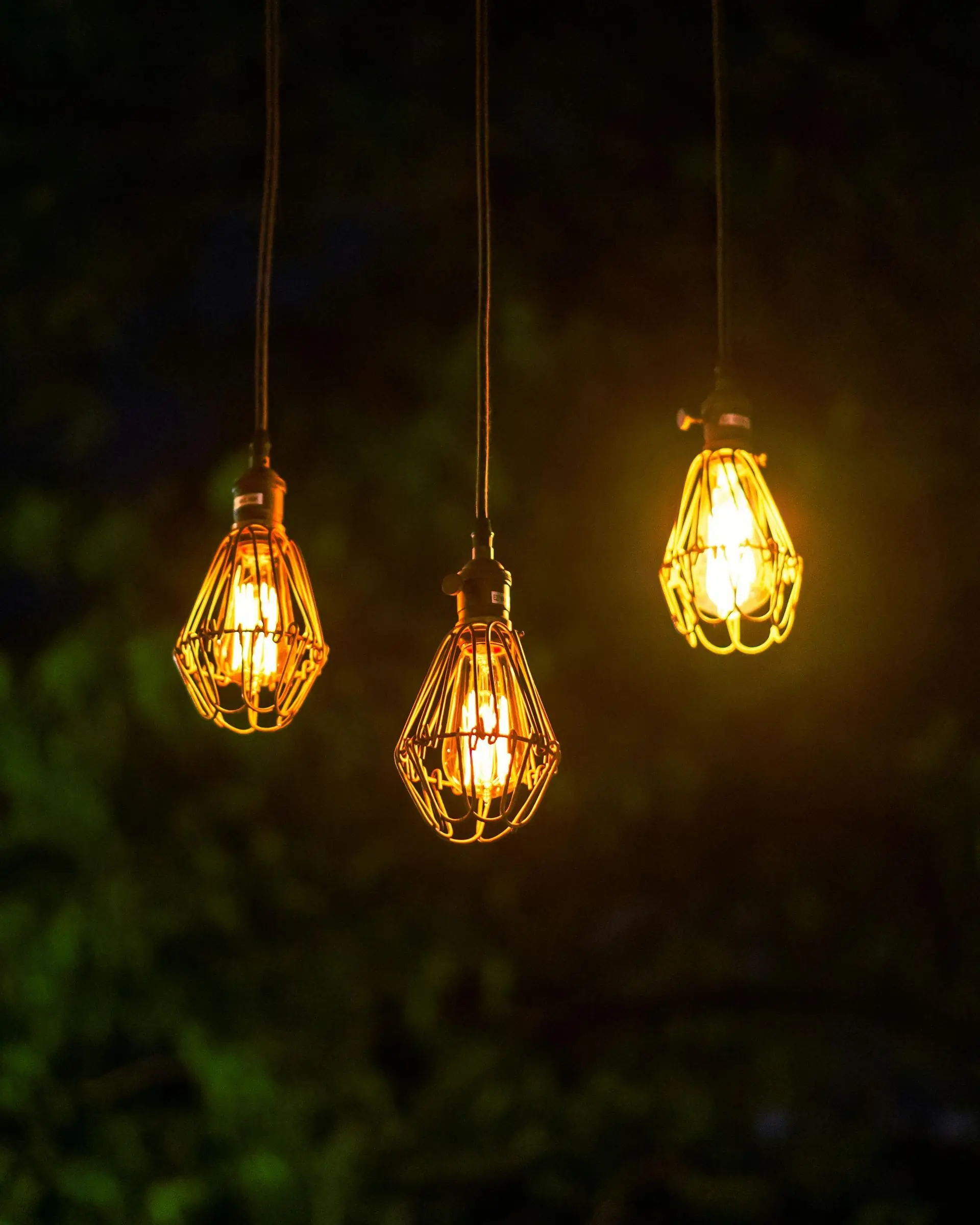 Three lit Edison bulb pendants with decorative wire cages against dark green foliage.